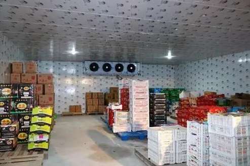北京安裝白菜氣調(diào)冷庫(kù)大概多少錢