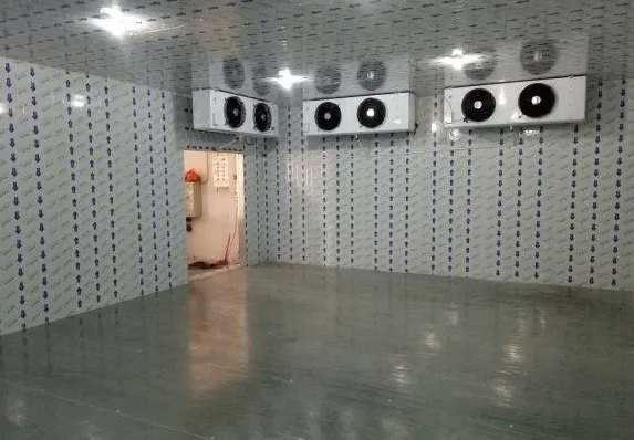 1000立方冷凍庫每平方米的造價多少錢